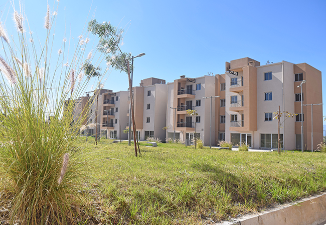 248 Dptos Alto Comedero 650