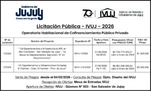 Licitacin Pblica 2026 20 Dptos APL Carmen 300x181